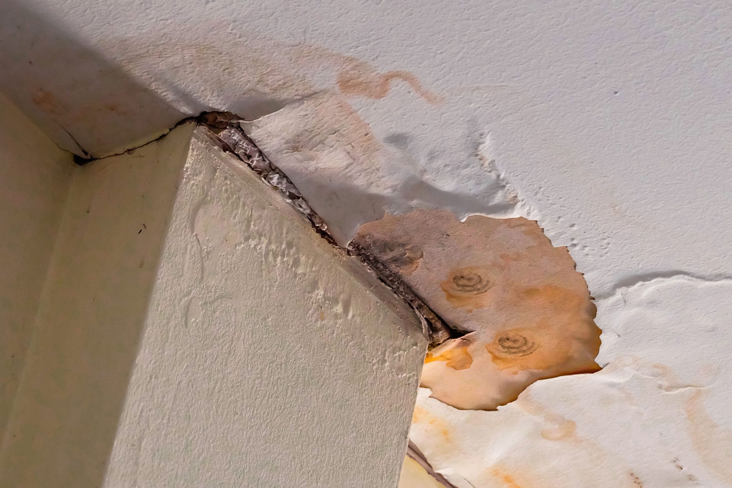 mold remediation experts can help with mold from moisture in a ceiling.